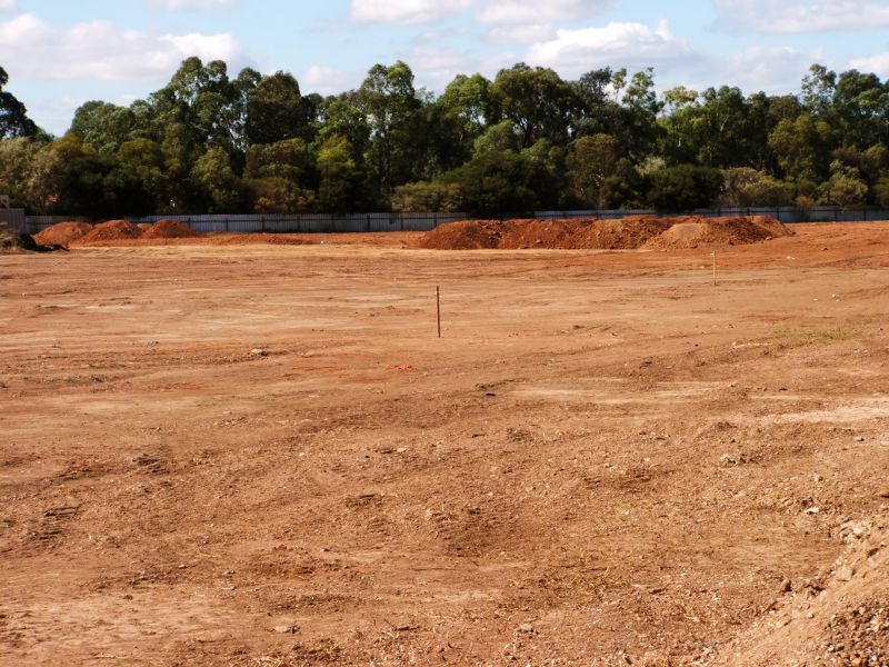 Commercial Land Clearing and Grading