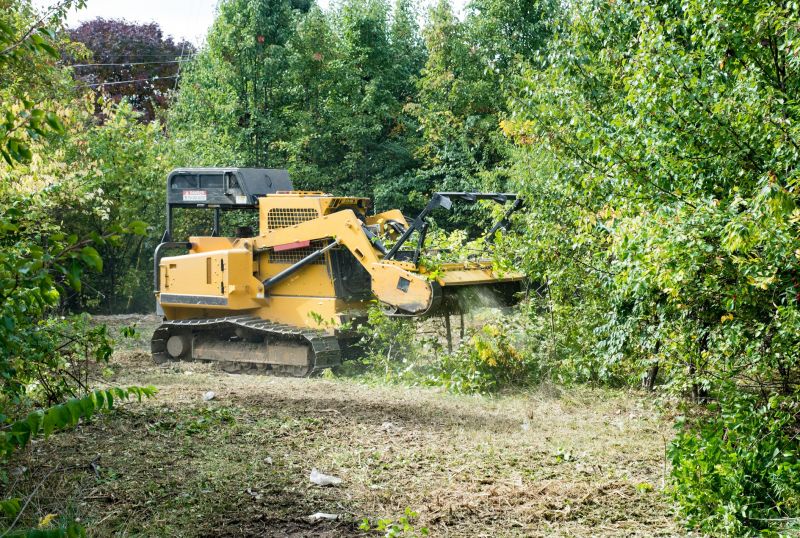 Thicket Clearing in Katy, TX